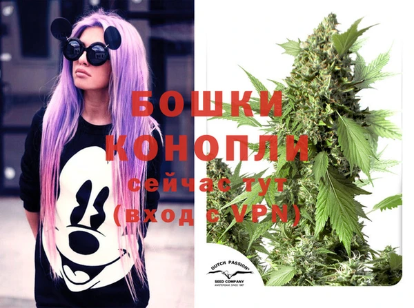 spice Абинск